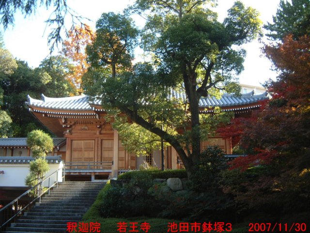 dscf03184.jpg
