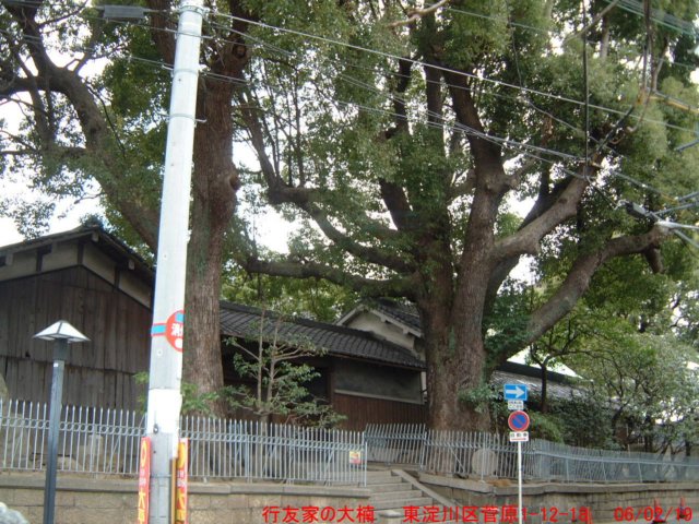 dscf0324.jpg