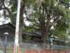 dscf0324_small.jpg