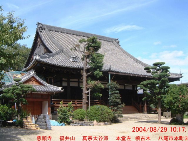 dscf0346.jpg