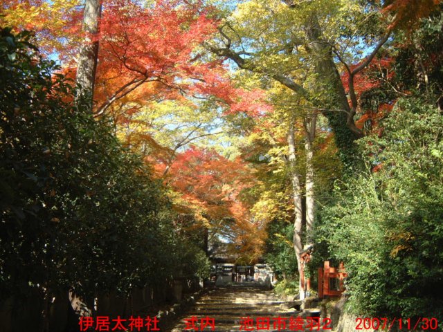 dscf03482.jpg