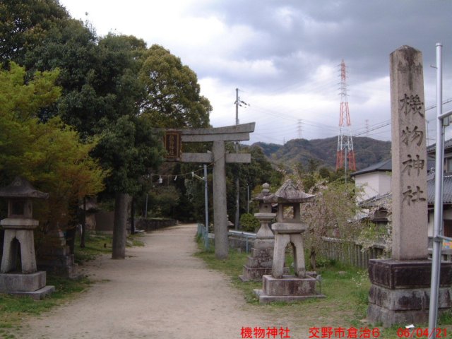 dscf03633.jpg