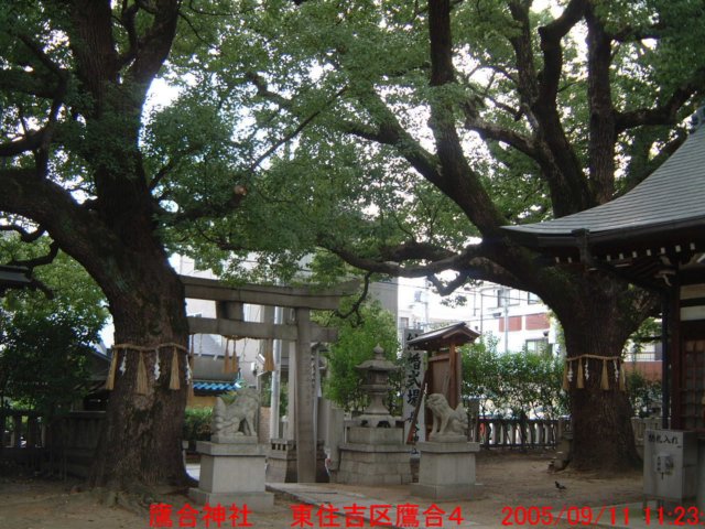 dscf03642.jpg