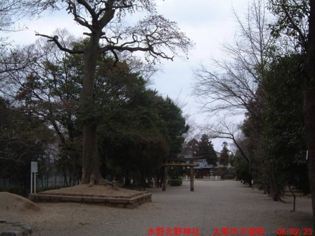 dscf03643.jpg