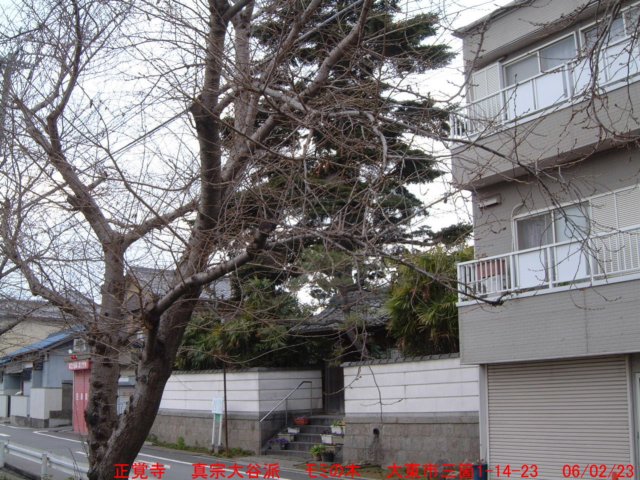 dscf0368.jpg
