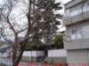dscf0368_small.jpg
