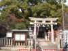 dscf0371_small.jpg