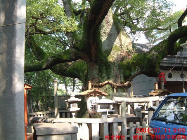 dscf0376.jpg