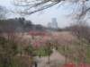 dscf0388_small.jpg