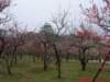 dscf03892_small.jpg