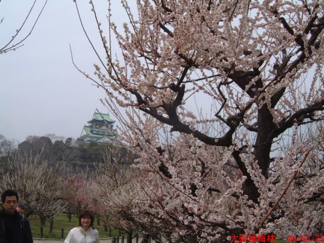 dscf0390.jpg