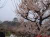 dscf0390_small.jpg
