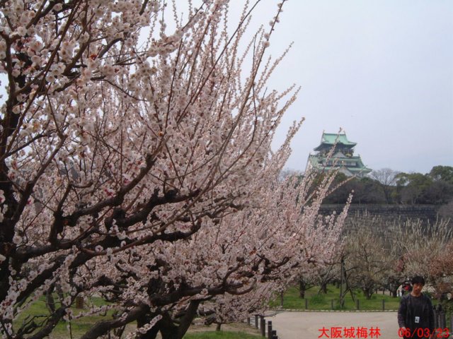 dscf0391.jpg