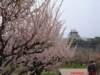 dscf0391_small.jpg