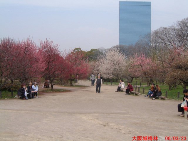 dscf0392.jpg
