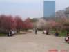 dscf0392_small.jpg