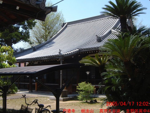dscf0393.jpg