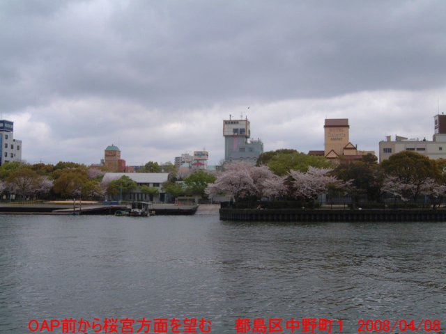 dscf03933.jpg