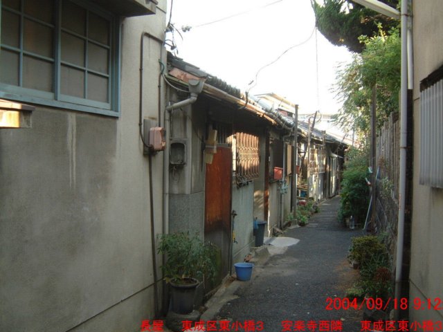 dscf0394.jpg
