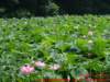 dscf1791_small.jpg