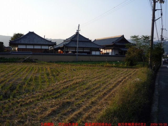 p1010546.jpg