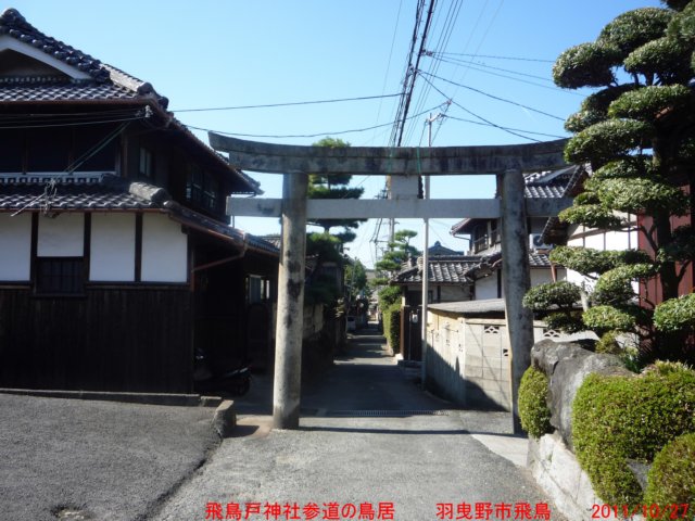 p1050261.jpg