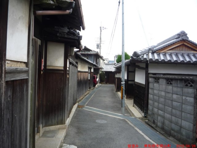 p1070131.jpg