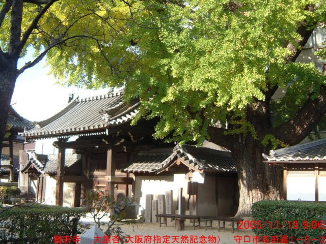 dscf0037.jpg