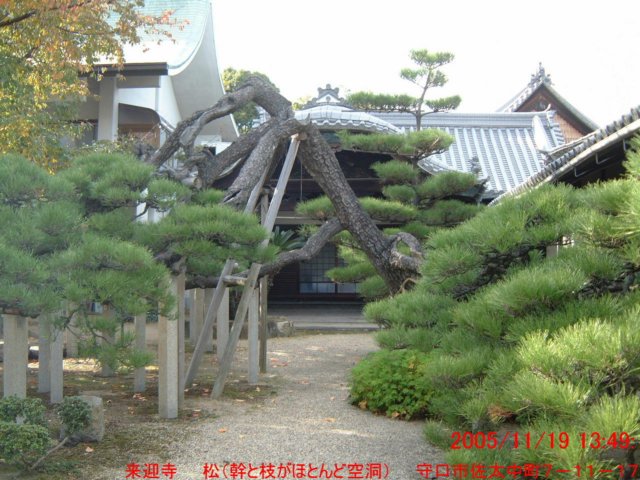 dscf0087.jpg