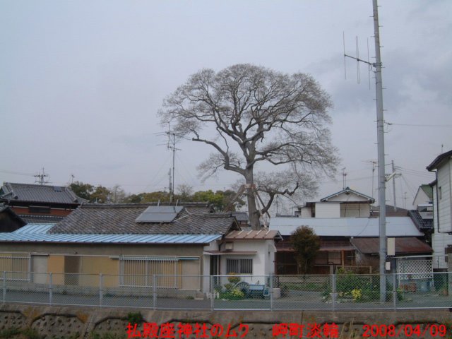 dscf00922.jpg