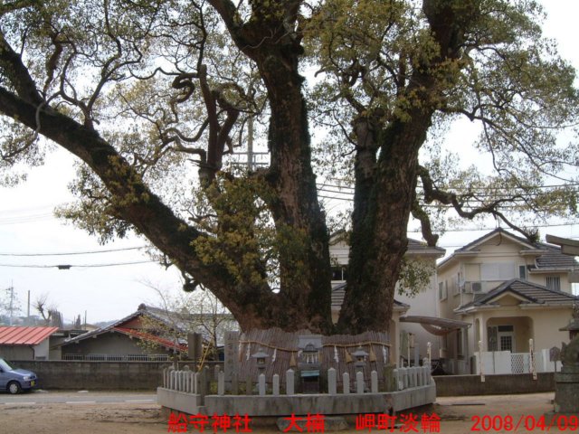 dscf0097.jpg