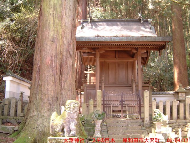 dscf0226.jpg