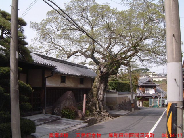dscf0252.jpg