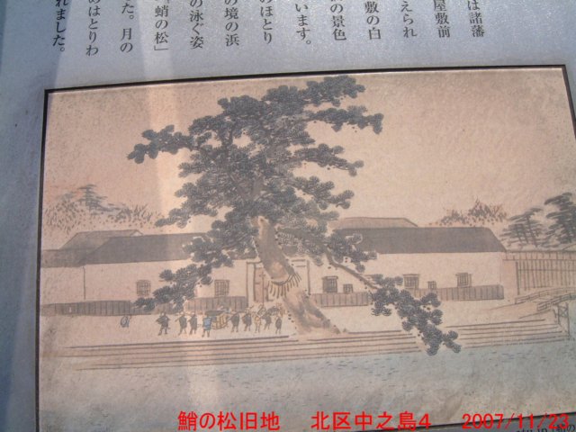dscf0288.jpg