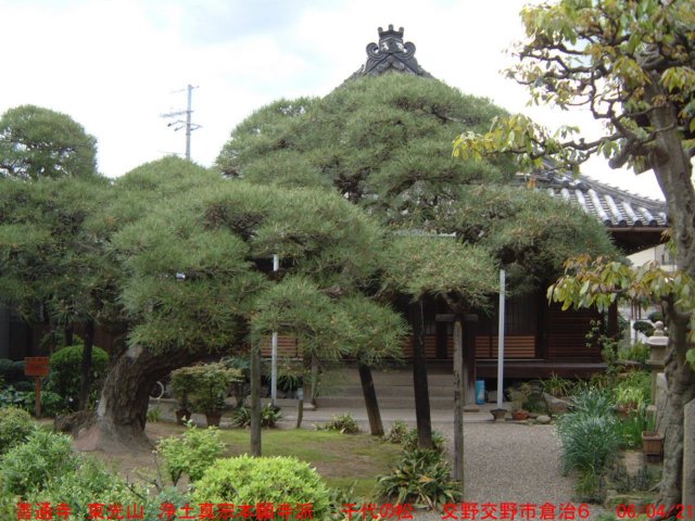 dscf0367.jpg