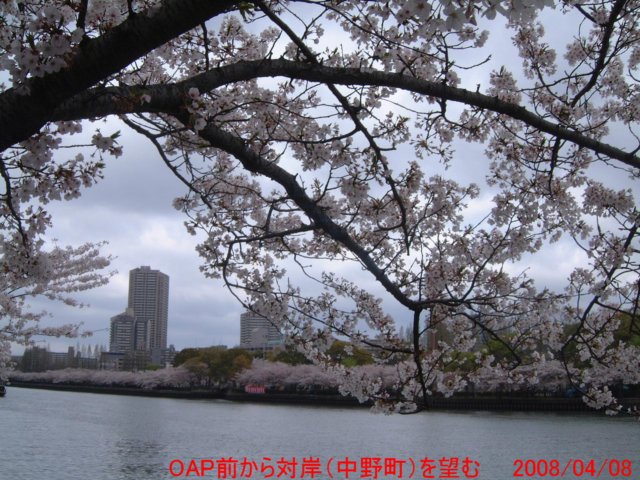 dscf03952.jpg