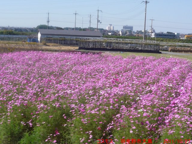 p1050275.jpg