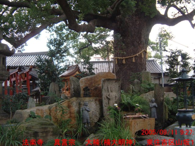 dscf0353.jpg