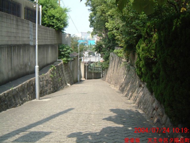 dscf0169.jpg