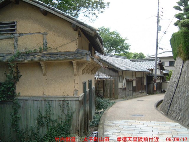dscf0261.jpg