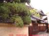 dscf0269_small.jpg