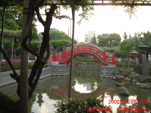 dscf0175.jpg