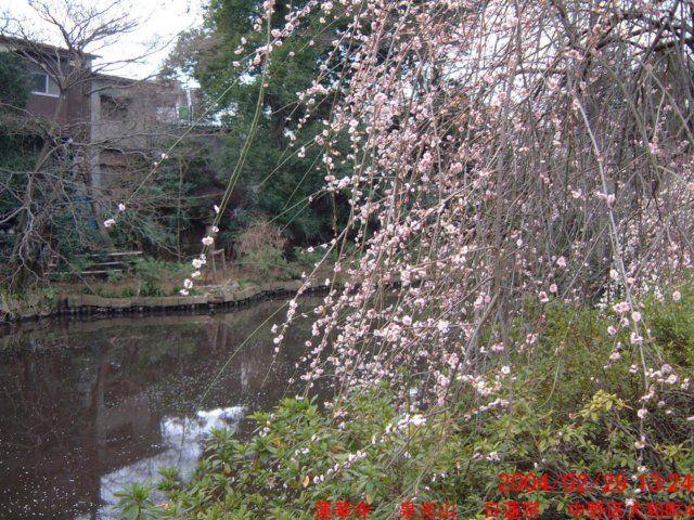 dscf0076.jpg