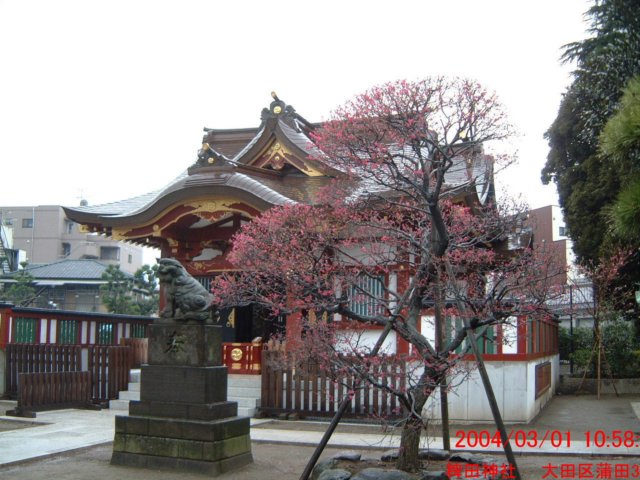 dscf0127.jpg