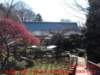 dscf0174_small.jpg