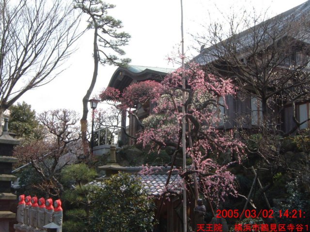 dscf0208.jpg