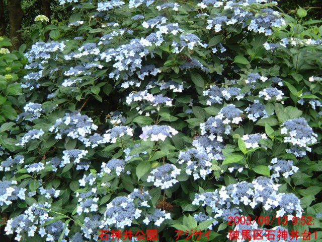 dscf0214.jpg