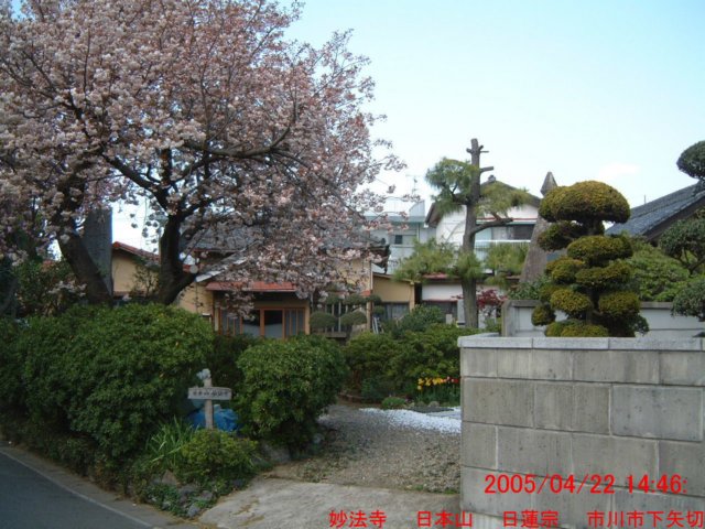 dscf0366.jpg