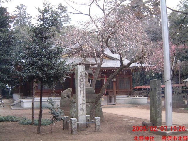 dscf0371.jpg
