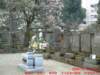 dscf00382_small.jpg